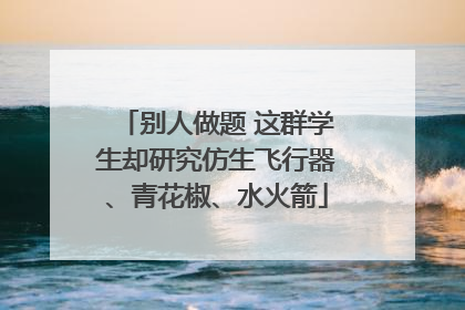 别人做题 这群学生却研究仿生飞行器、青花椒、水火箭